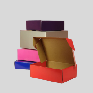 Corrugated Box (COLOURFUL CONTAINER)